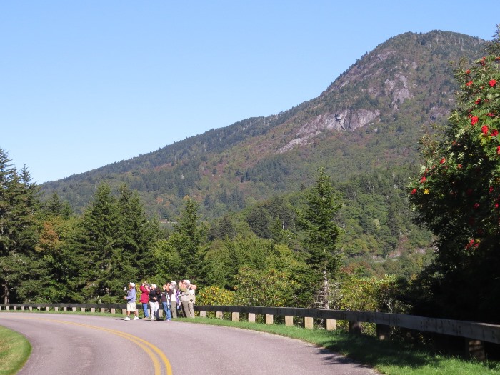 Birders at Ridge Junction