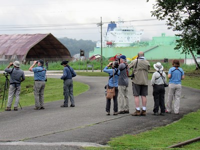 Birding along the Canal