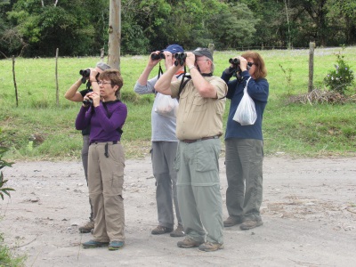 Birding the Coffee Farm