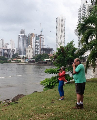 Panama City Mudflats