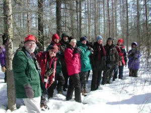 At Black-backed Woodpecker site