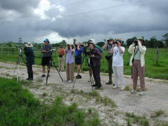 Group at Savanna