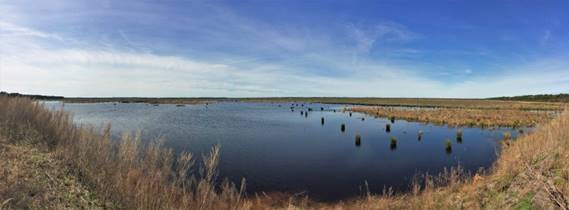 North River Wetlands Preserve